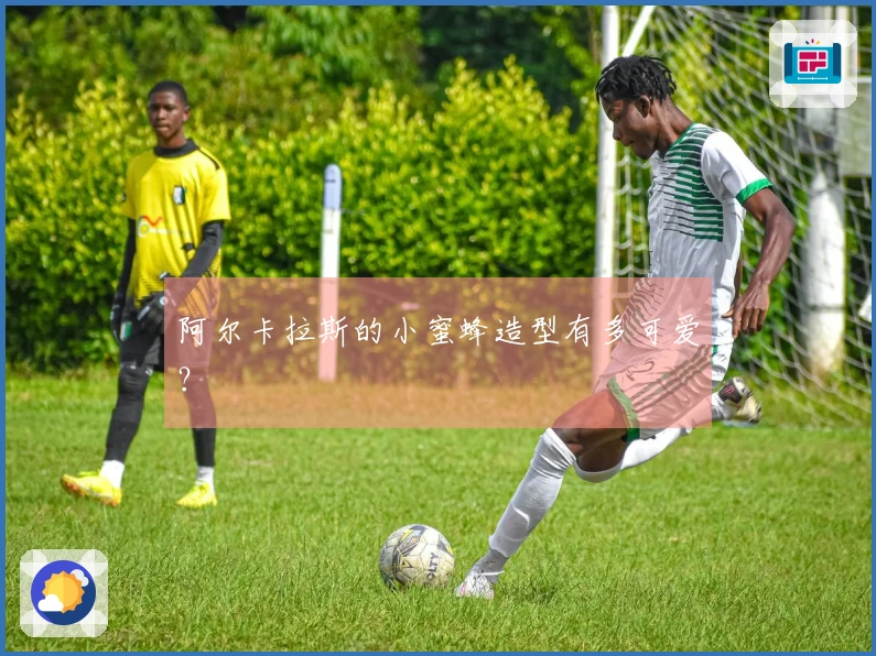 阿尔卡拉斯的小蜜蜂造型有多可爱？