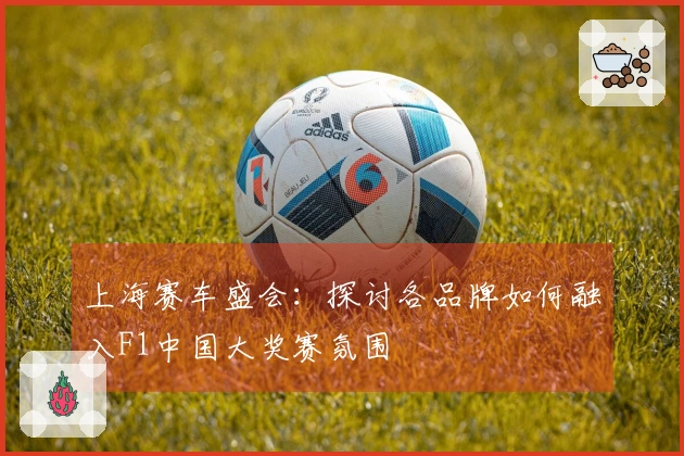 上海赛车盛会：探讨各品牌如何融入F1中国大奖赛氛围