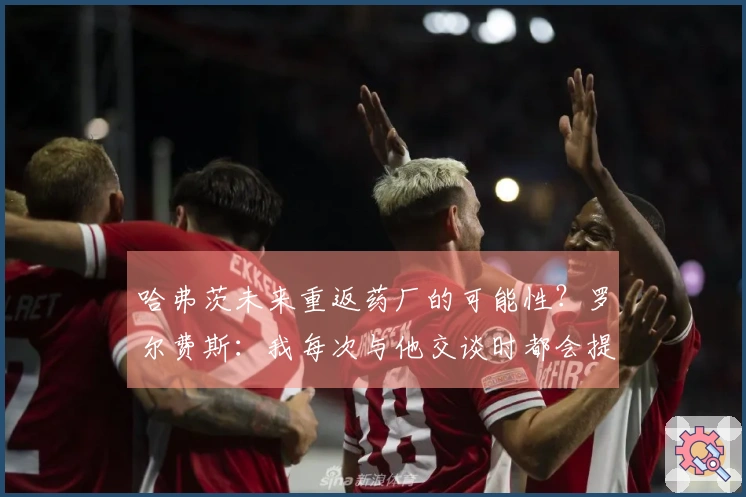 哈弗茨未来重返药厂的可能性？罗尔费斯：我每次与他交谈时都会提到这个话题